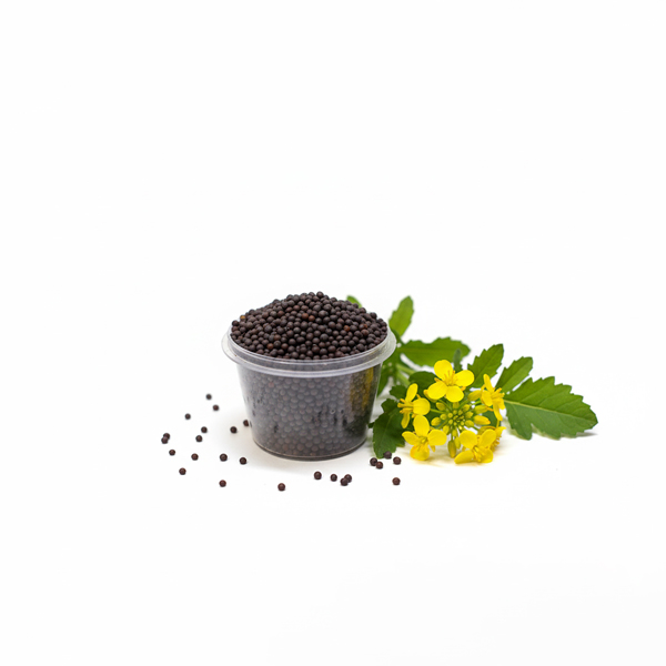 SARSHE KALO ECM-50gm SARSHE KALO ECM-50gm